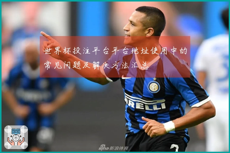 世界杯投注平台平台地址使用中的常见问题及解决方法汇总