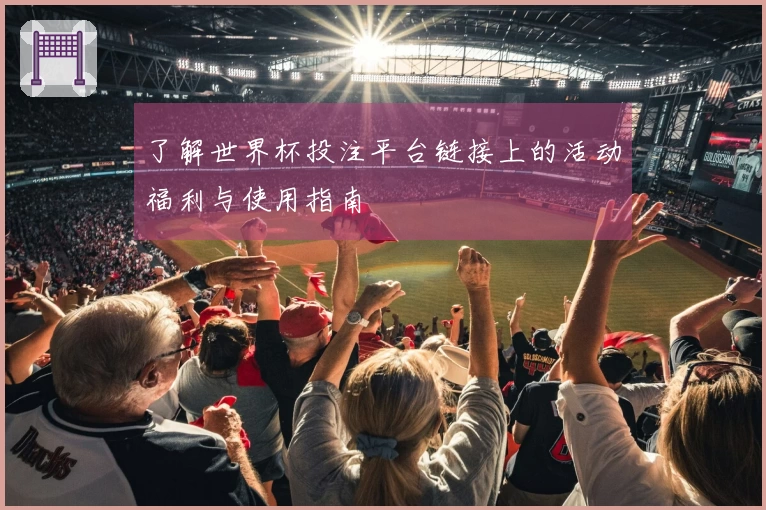 了解世界杯投注平台链接上的活动福利与使用指南