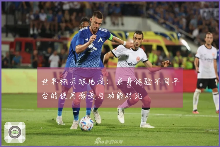 世界杯买球地址：亲身体验不同平台的使用感受与功能对比